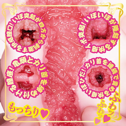 NPG Japan - Mini Meiki Eimi Fukada Pussy Onahole