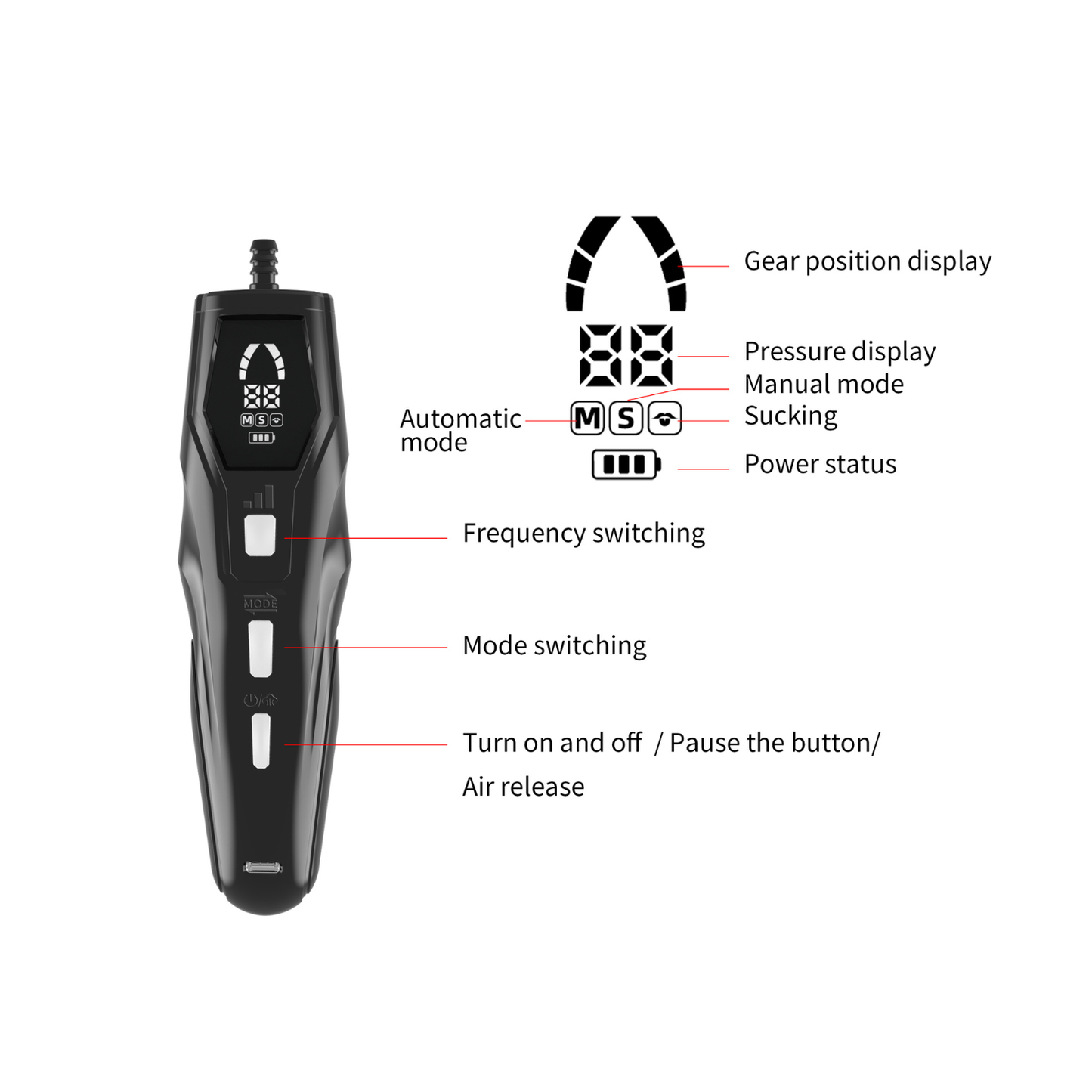 The Pump Specialist - Rechargeable Auto Penis Pump (With New and Improved Controller)
